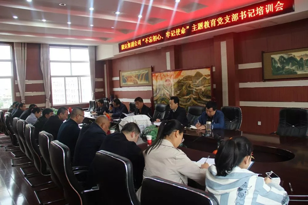 隴運(yùn)集團(tuán)公司召開“不忘初心、牢記使命”主題教育黨支部書記培訓(xùn)會