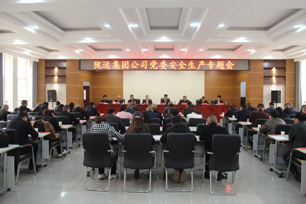 隴運(yùn)集團(tuán)公司黨委召開2025年經(jīng)濟(jì)運(yùn)行專題會(huì)議和安全生產(chǎn)專題會(huì)議